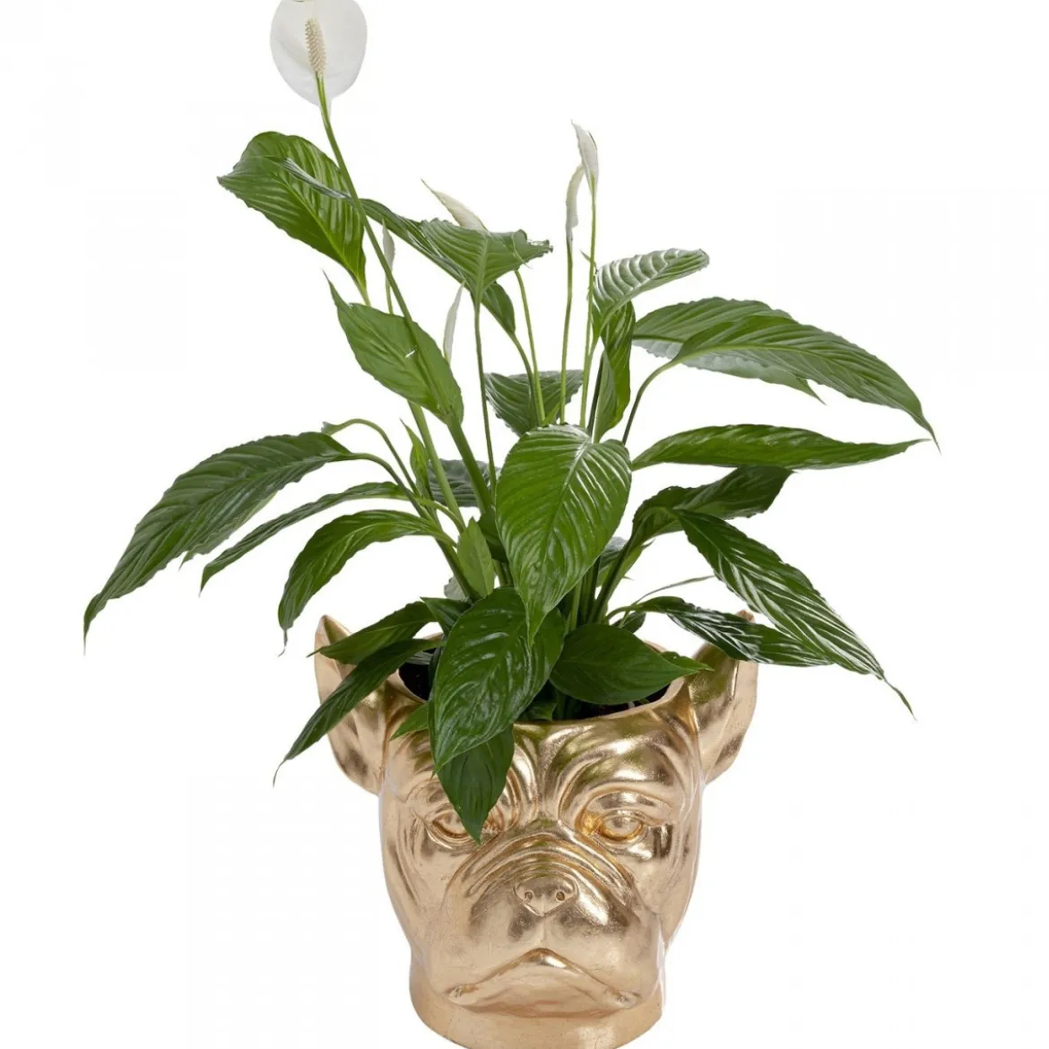 Bulldog plantenbak goud - Kare Design Bulldog Gold