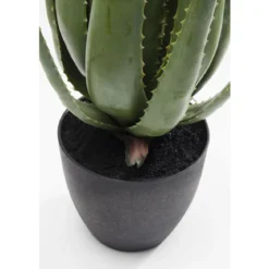 Deco plant aloe vera - Kare Design Deco plant