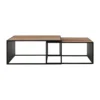 Design salontafel set teakhout - DTP Home Cosmo