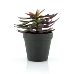 Kunst vetplant met pot 18 cm - By-Boo Succulent 2