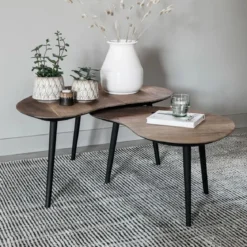 Organische salontafel set teak - DTP Home Organus