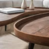 Organische salontafels met metaal frame - Giani Carve