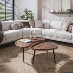 Organische salontafels met metaal frame - Giani Carve