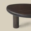 Salontafel hout organische vorm - Bodio Nala